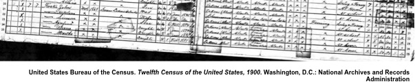 1900 Census Sample