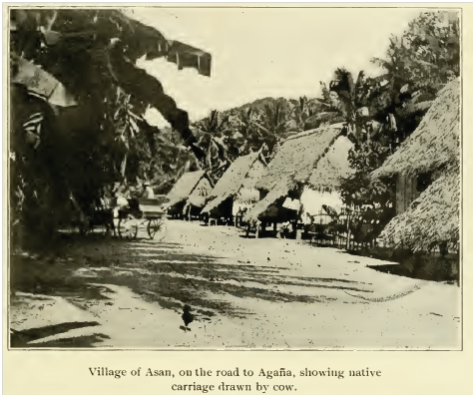 Village of Asan, on the road to Agana, showing native carriage drawn by cow.