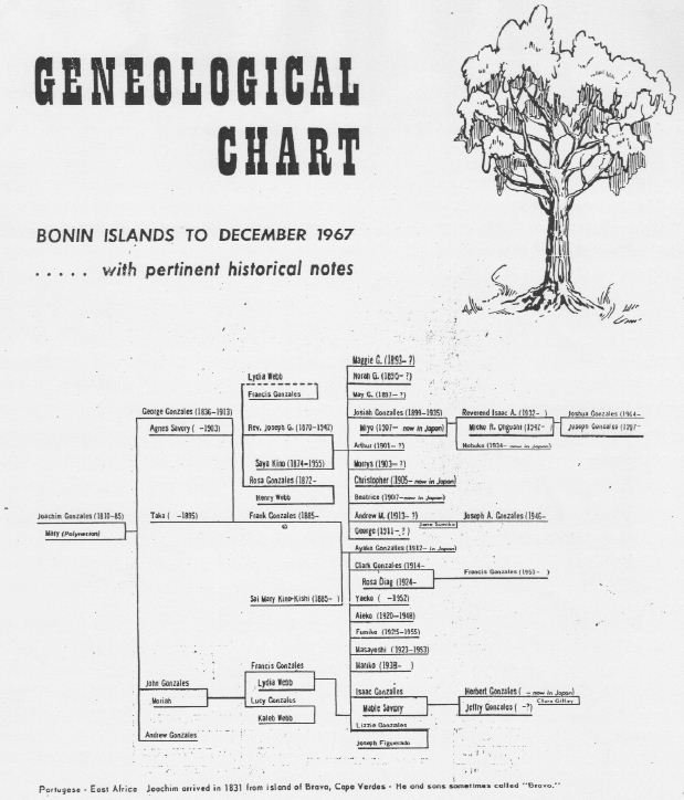 1967 Geneology Chart (LCDR Johnson)