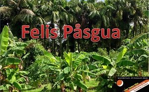 Felis Pasgua