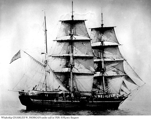 Charles W. Morgan Whaling Ship in 1920
