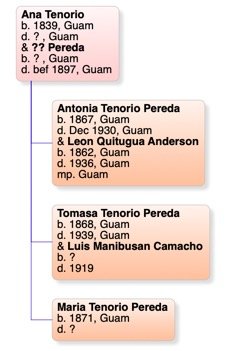 My Tenorio Pereda Roots