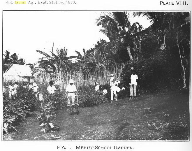 Source: Report Guam Agriculture Experiment Station