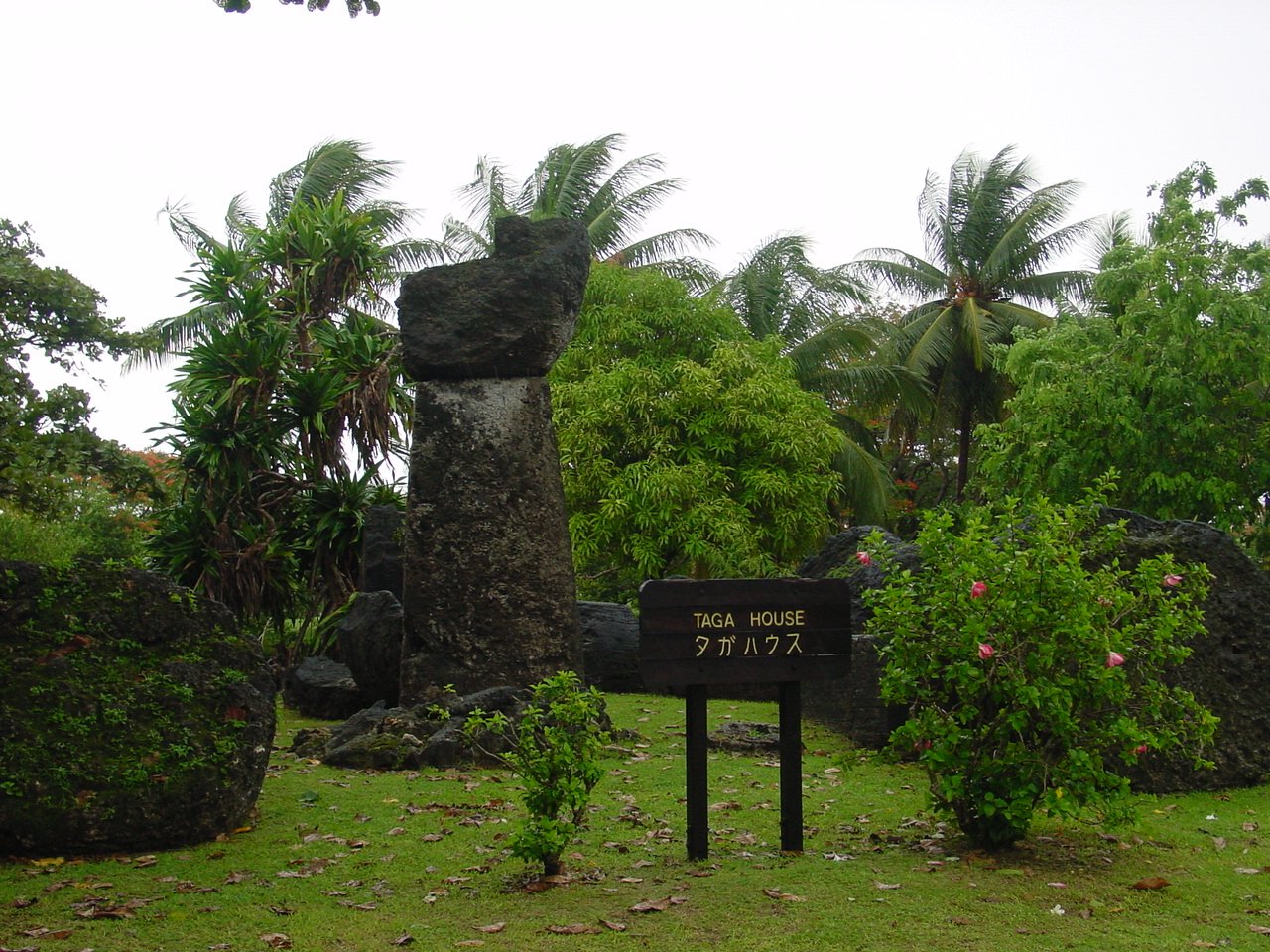 House of_Taga